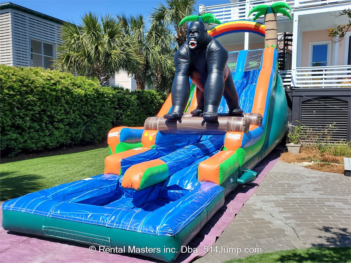 Gorilla Double Lane Water Slide Water slides rentals, Bounce house