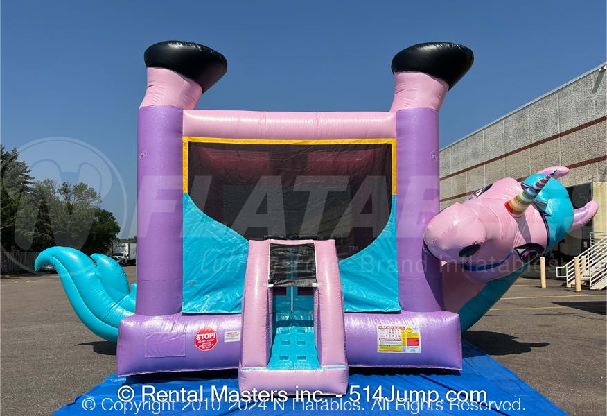 Bounce Houses - Water Slide Rentals, Bounce House Rentals, Obstacle ...